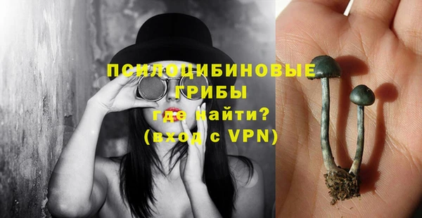 бошки Абдулино