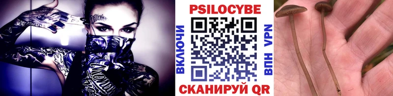 Галлюциногенные грибы мицелий  Гагарин 